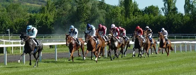 Horseraces