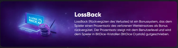 BitDice LossBack