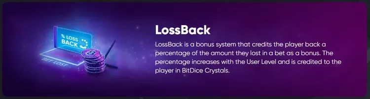 BitDice LossBack